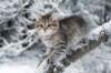 nerigirl8weeksinabluewinterday0117201424_small.jpg