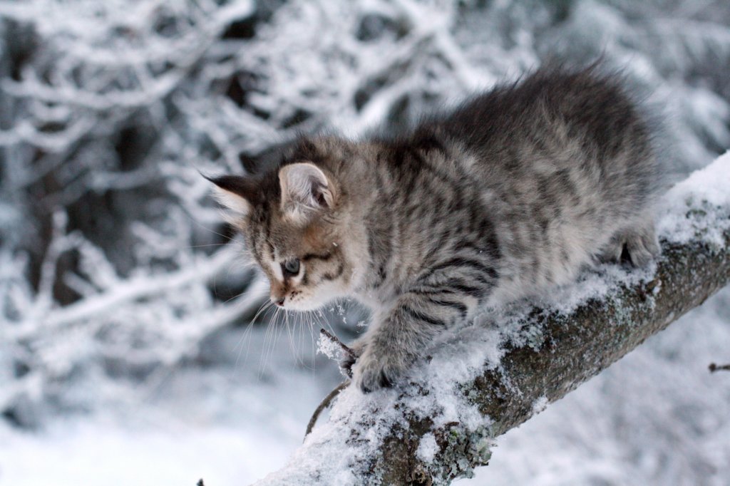 nerigirl8weeksinabluewinterday0117201425.jpg