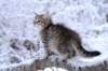 nerigirl8weeksinabluewinterday011720148_small.jpg
