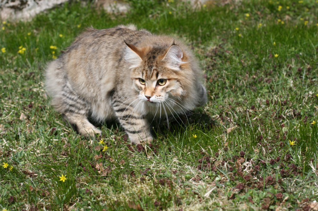 nikodemus55kuukautta75201427.jpg