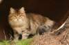 nikodemus55kuukautta75201439_small.jpg