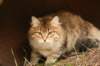 nikodemus55kuukautta75201444_small.jpg