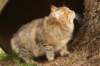 nikodemus55kuukautta75201446_small.jpg
