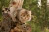 nikodemus55kuukautta7520144_small.jpg