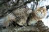 nikodemus55kuukautta75201462_small.jpg