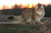 nikodemus55kuukautta75201474_small.jpg
