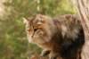 nikodemus55kuukautta7520148_small.jpg