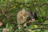 img_5363_small.jpg