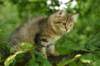 img_5391_small.jpg