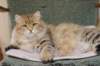 navarasibaris2years11months891_small.jpg