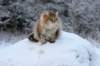 img_4573_small.jpg