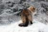 img_4587neri_small.jpg