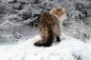 neriimg_4586_small.jpg