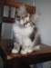 Photo Number 13