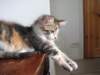 Photo Number 7