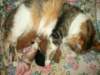Photo Number 13
