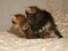 nooaandnaomi3_small.jpg