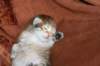 nooathegoldenboyinmylap2_small.jpg