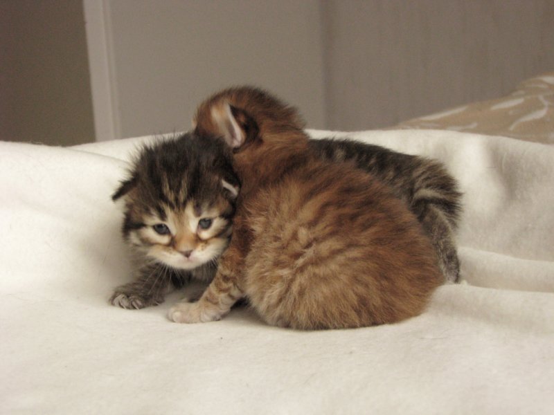 nooaandnaomi28.jpg