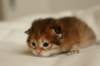 nooaboy25_small.jpg