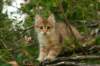 img_5400_small.jpg