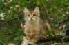 img_5403_small.jpg