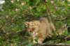 img_5404_small.jpg