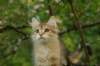 img_5407_small.jpg