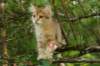 img_5414_small.jpg