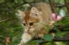 img_5415_small.jpg