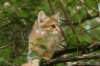 img_5416_small.jpg