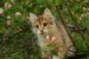 img_5417_small.jpg