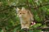 img_5422_small.jpg