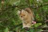 img_5423_small.jpg