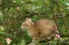 img_5425_small.jpg