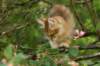 img_5427_small.jpg