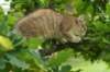 img_5436_small.jpg