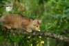 img_5472_small.jpg