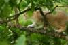 img_5481_small.jpg