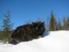 Photo Number 13