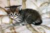 ofirgirlimg_6399_small.jpg