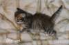 ofirgirlimg_6409_small.jpg