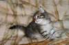 oholibamagirlimg_6386_small.jpg