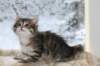 oholibamaimg_7180_small.jpg