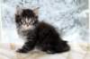 otnielboyimg_7126_small.jpg