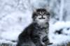 otnielboy8weeks291201410_small.jpg