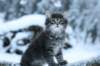 otnielboy8weeks291201417_small.jpg