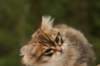 img_9648_small.jpg