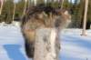 odin7kk3vi23283_small.jpg
