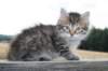 onesimusboy14_small.jpg